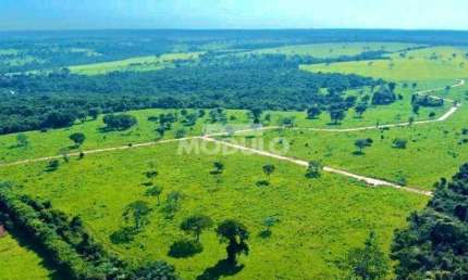 CHÁCARA à venda, 1 quarto, CHACARAS ELDORADO - Uberlândia/MG