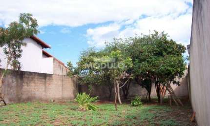 Terreno à venda na Rua Antônio Rezende Chaves, --, Santa Mônica, Uberlândia