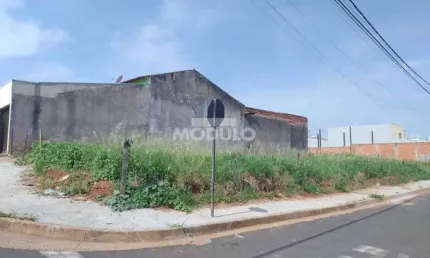 Terreno à venda na Rua Leopoldo Bulhões, --, Pampulha, Uberlândia