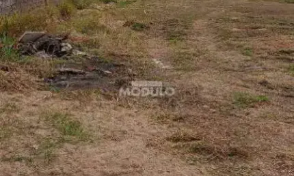 Terreno à venda na Avenida Ubiratan Honório de Castro, --, Santa Mônica, Uberlândia