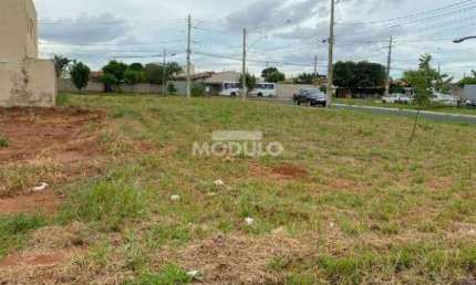 Terreno à venda na Alameda Jardim Holanda, --, Jardim Holanda, Uberlândia