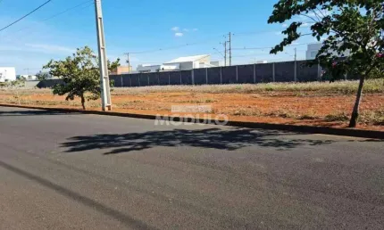Terreno à venda na Avenida Palmeira Real, --, Novo Mundo, Uberlândia