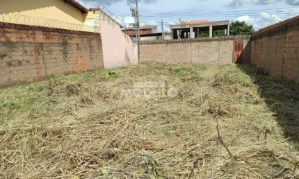 Excelente terreno plano murado proximo a joao naves