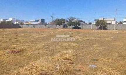 Terreno à venda na Avenida Segismundo Pereira, --, Novo Mundo, Uberlândia