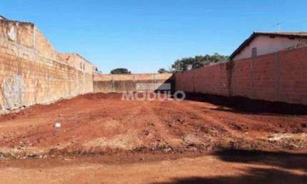 Terreno à venda na Rua Domingos de Freitas, --, Conjunto Segismundo Pereira, Uberlândia