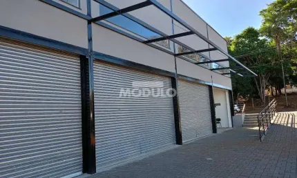 Galpão/depósito/barracão à venda, 2 vagas, vigilato pereira - uberlândia/mg