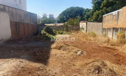 Terreno à venda na Rua das Orquídeas, --, Panorama, Uberlândia