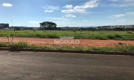 Terreno à venda na Alameda Dos Terenas, --, Aclimação, Uberlândia