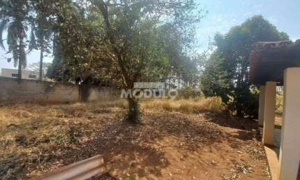 Chacara comercial para locação bairro Chácaras Tubalina e Quartel