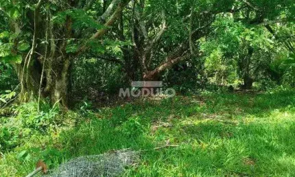 Chácara / sítio à venda na Avenida Rio Acima, --, Shopping Park, Uberlândia