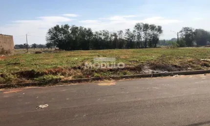Terreno à venda na Rua Euclides Ferreira Tavares, --, Aclimação, Uberlândia