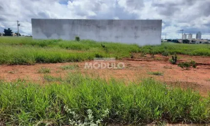 Terreno à venda na Alameda Dos Javaes, --, Alto Umuarama, Uberlândia