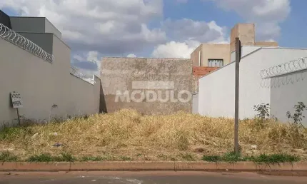 Terreno à venda na Rua Santa Albertina, --, Laranjeiras, Uberlândia
