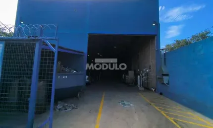 Barracão / Galpão / Depósito para alugar na Avenida Alexandrino Alves Vieira, --, Santa Rosa, Uberlândia