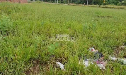 Terreno à venda na Rua Pastor Manoel Rosa Damaso, --, Laranjeiras, Uberlândia