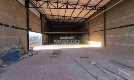 Barracão / Galpão / Depósito para alugar na Avenida Victor Alves Pereira, --, Novo Mundo, Uberlândia