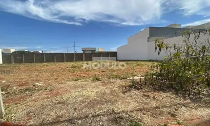 Terreno à venda na Avenida Palmeira Real, --, Novo Mundo, Uberlândia
