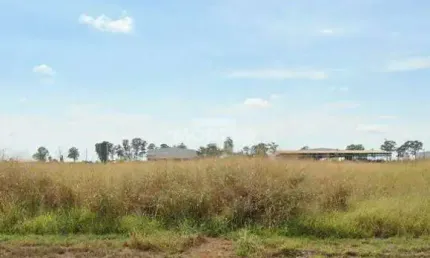 Terreno à venda, loteamento centro empresarial leste iii - uberlândia/mg