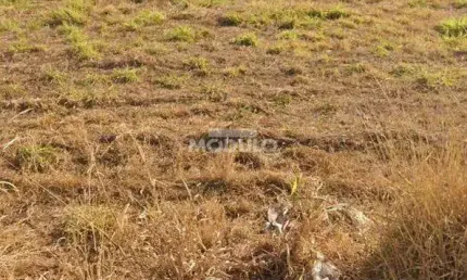 Terreno à venda na Rua Marcília Francisca de Oliveira, --, Mansour, Uberlândia