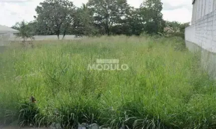 Terreno à venda na Avenida Imbaúbas, --, Jaraguá, Uberlândia