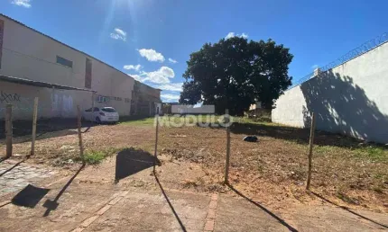 Terreno à venda na Rua Padre Pio, --, Martins, Uberlândia