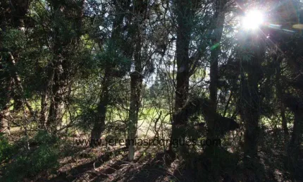 Terreno à venda no Chácaras Cataguá, Taubaté 
