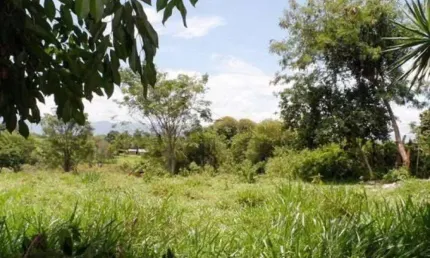 Terreno à venda em Socorro, Pindamonhangaba 