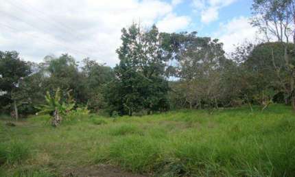 Terreno à venda no Loteamento Industrial Água Preta, Pindamonhangaba 