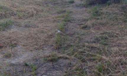 Terreno à venda no Centro, Taubaté 