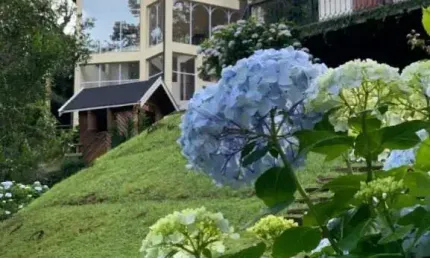 Casa com 9 quartos à venda na Vila Capivari, Campos do Jordão 