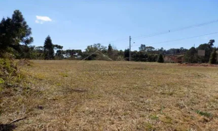 Terreno à venda no Colinas Capivari, Campos do Jordão 