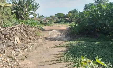 Terreno com 9.000 m² - Campinas - Pindamonhangaba/SP.