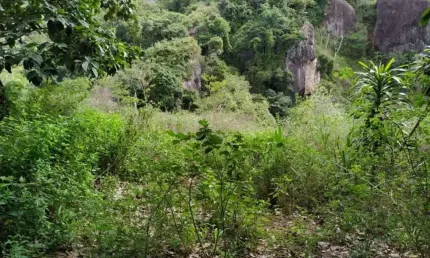Terreno à venda no santo antônio, serra  por r$ 300.000