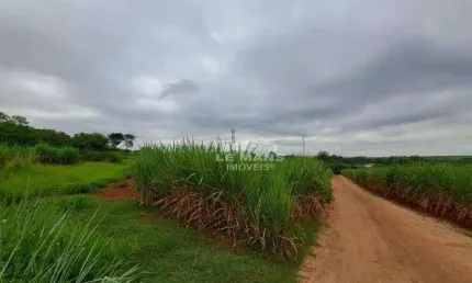 Terreno para alugar, no bairro Conceição em  Piracicaba - SP