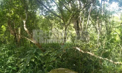 Tereno á venda no bairro Canasvieiras em Florianópolis.