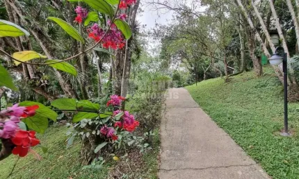 Amplo apartamento à venda no bairro agronômica em florianópolis