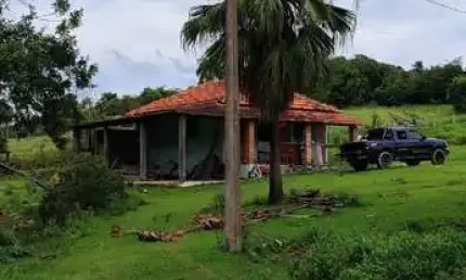 EXCELENTE FAZENDA A VENDA EM SÃO MIGUEL ARCANJO-SP ??   Área Total: 75 Alqueires  Aproveitamento: 65%   Agricultura: 20 Alqueires  Eucalipto: 18 Alqueires    Arrendamento: Eucatex até 2.036  Solo: Mis