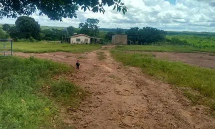 Fazenda à venda em João Pinheiro-MG: 2 quartos, 2 salas, 1 banheiro, 2 vagas de garagem, 20.805.200,00 m² de área!