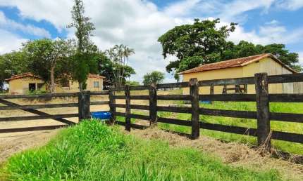 Propriedade rural à venda em Itapetininga-SP: 2 quartos, 1 sala, 1 banheiro, 2 vagas de garagem, 532.400,00 m² de área.