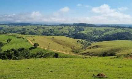 FAZENDA A VENDA EM CAPÃO BONITO-SP ??   Área Total: 390 Hectares ou 161 Alqueires  Área de Pasto: 122 Alqueires   Área de Lavoura: 8 Alqueires  Rese