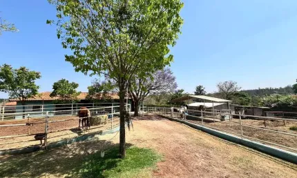 Imperdível! Chácara em condomínio à venda em Limeira-SP, Bairro dos Pires. 3 quartos, 1 suíte, 3 salas, 3 banheiros, 5 vagas, 800m².