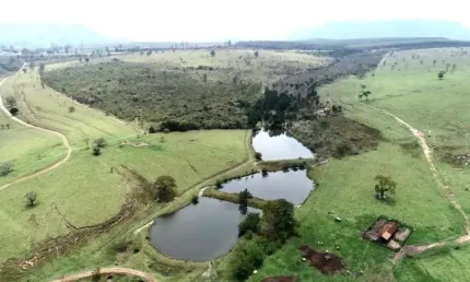 EXCELENTE OPORTUNIDADE DE NEGÓCIO ?  FAZENDA A VENDA NA REGIÃO DE BOTUCATU-SP ??    Área Total de 294 Alqueires ou 712 Hectares   Aproximadamente 1
