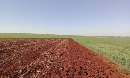 Fazenda região de Avaré   409 alqueires  Área de APP 40 alqueires  70 alqueires em pasto p gado  299 alqueires em Plantio  Roda pivô  Arrendatario vai