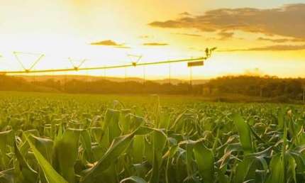Fazenda no Tocantins. Município de Pindorama do Tocantins  619 alqueires,  3000 hectares.  1.000 hectares pastagens  480 hectares lavoura sequeiro  110 hectares sendo irrigado 04 pivôs central  600 he