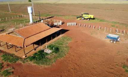 FAZENDA A VENDA NA REGIÃO DE PRESIDENTE PRUDENTE-SP ??    EXCELENTE OPORTUNIDADE DE NEGÓCIO E INVESTIMENTO    Localizada no Município de Presidente Epitácio   Área Total de 223 Alqueires   Excelente A