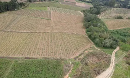 Sítio a venda em são miguel arcanjo-sp ??   área total 9,77 alqueires   aproveitamento 8 alqueires   topografia leve ondulada   100% tratoravel   solo misto   boa em água, açude e nascente  benfeitori