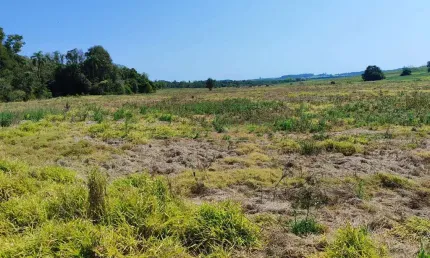 Sítio à venda em Itapetininga-SP: 1 quarto, 1 banheiro e 992.200,00 m² de área na Área Rural