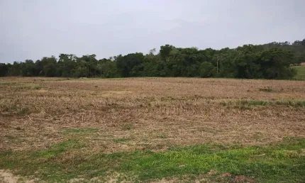SÍTIO A VENDA EM ANGATUBA-SP   Área Total: 32,91 Hectares ou 13,6 Alqueires   10 Alqueires de Aproveitamento   Terra Mista de Lavoura  Rico em Água, Nascente, Ribeirão e Rio Guareí no Fundos   Boa Top