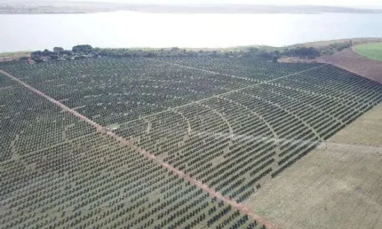 Fazenda de luxo à venda em Cardoso-SP, Zona Rural: 3 quartos, 1 suíte, 3 salas, 2 banheiros, 3 vagas de garagem, 1.583.164,00 m².