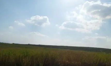 Fazenda à venda em Quatá-SP, Zona Rural: 1 quarto, 1 banheiro, 12.391.126,00 m² de área!